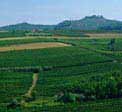 La comunit� montana