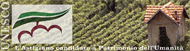 Paesaggi vitivinicoli tipici del Piemonte - Langhe, Monferrato, Roero